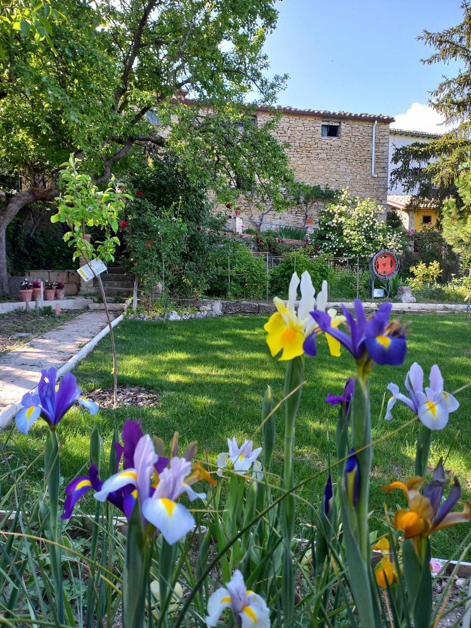 Casa Albaitar Con Piscina Y Sala De Juegos Azcona Kültér fotó